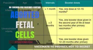 Chicken Pox Vaccine: Fetal Cell Myth Explained