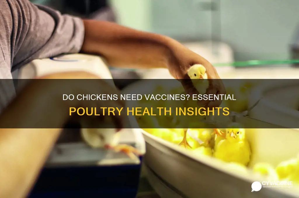 do chickens have to be vaccinated