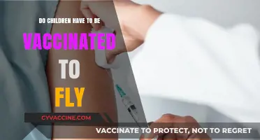 Vaccination Requirements: Flying with Children