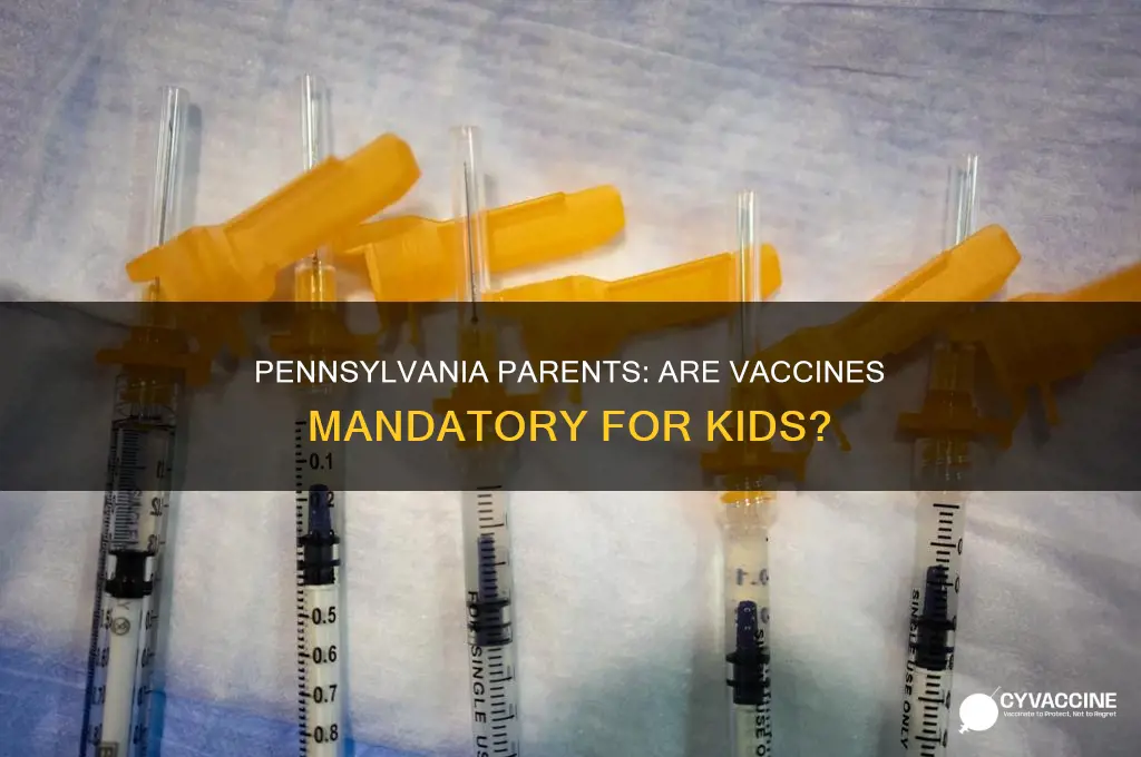 do children in pennsylvania have to vaccinate chikdren