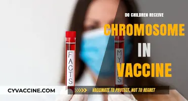 Do Vaccines Contain Chromosomes? Debunking Myths About Childhood Immunizations