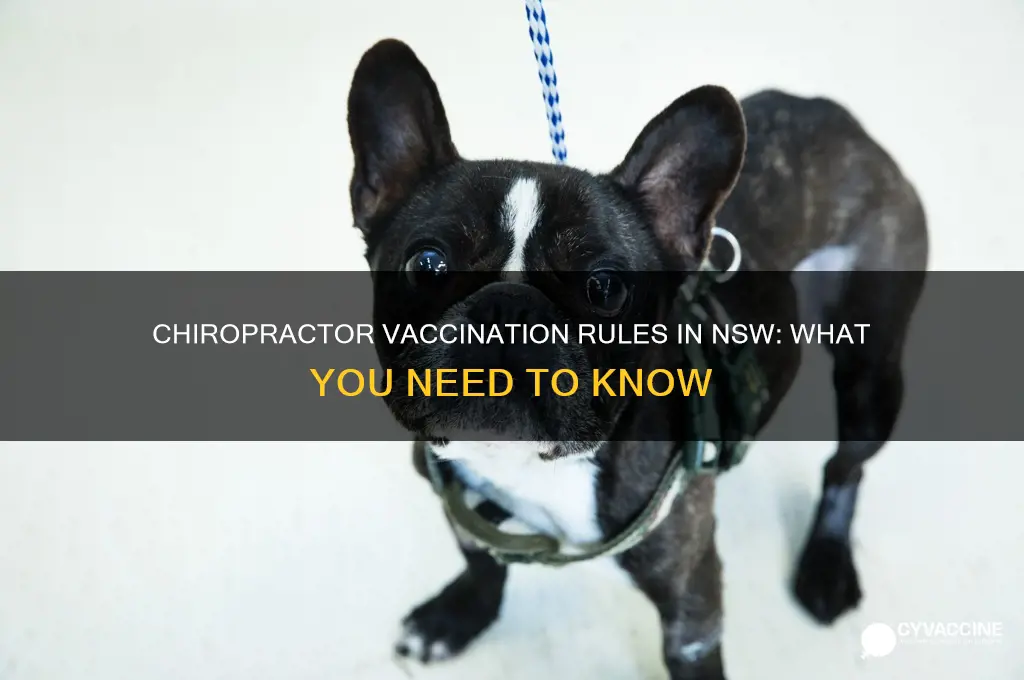 do chiropractors have to be vaccinated in nsw