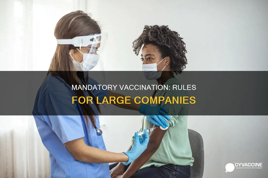 do companies over 100 have to be vaccinated