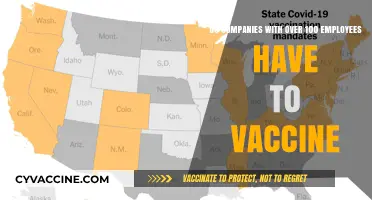 Mandatory Vaccination: Large Companies and Legal Requirements