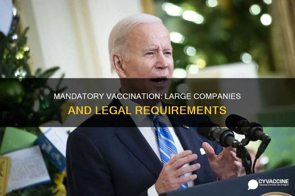 do companies with over 100 employees have to vaccine