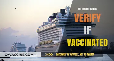 Cruise Ship Vaccination Verification: What You Need to Know