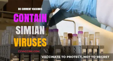 Do Current Vaccines Contain Simian Viruses? Separating Fact from Fiction
