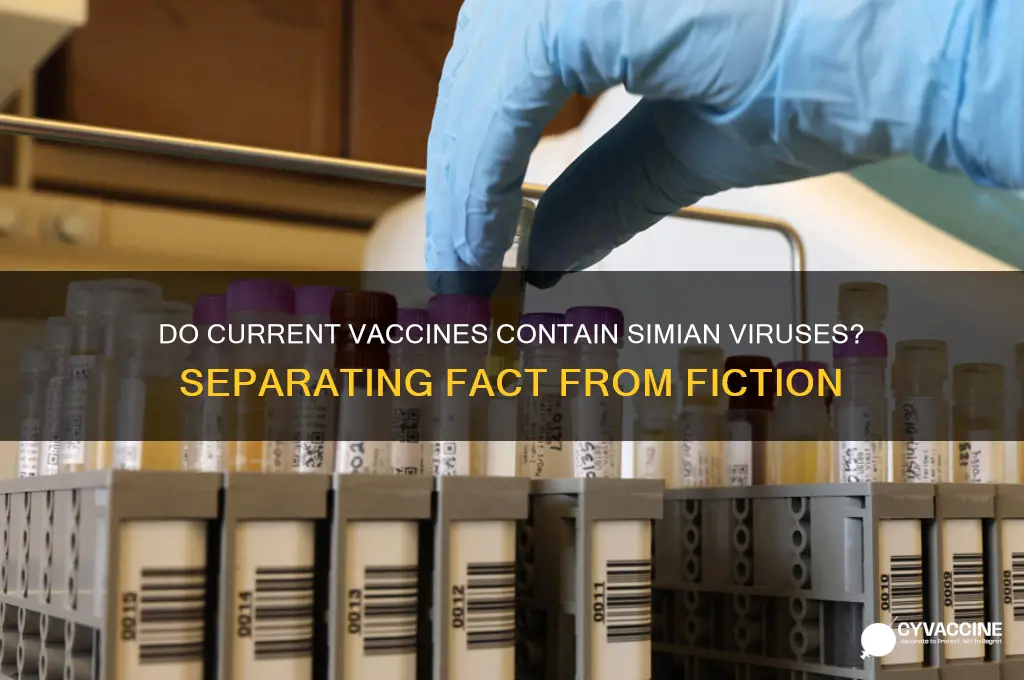 do current vaccines contain simian viruses