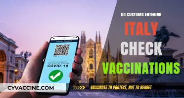 Italy Entry Requirements: Do Customs Check Vaccinations Upon Arrival?