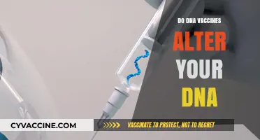 Do DNA Vaccines Alter Your DNA? Unraveling the Science and Facts