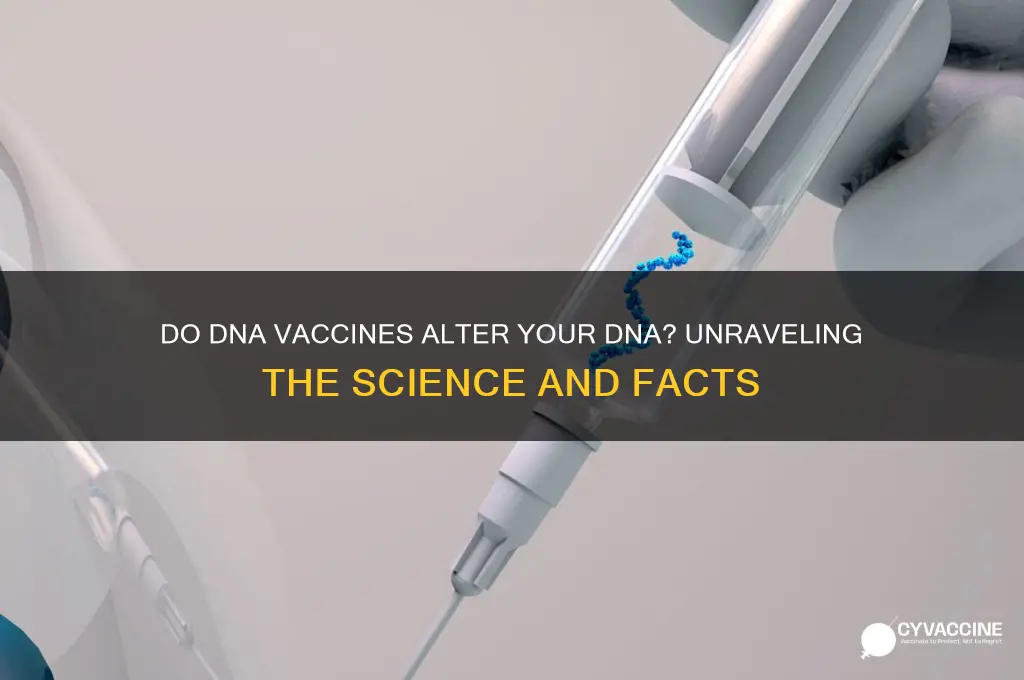 do dna vaccines alter your dna