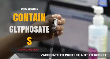 Do Vaccines Contain Glyphosate? Separating Fact from Fiction