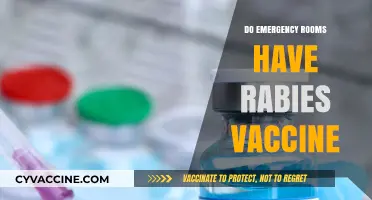 Do Emergency Rooms Stock Rabies Vaccines? What You Need to Know