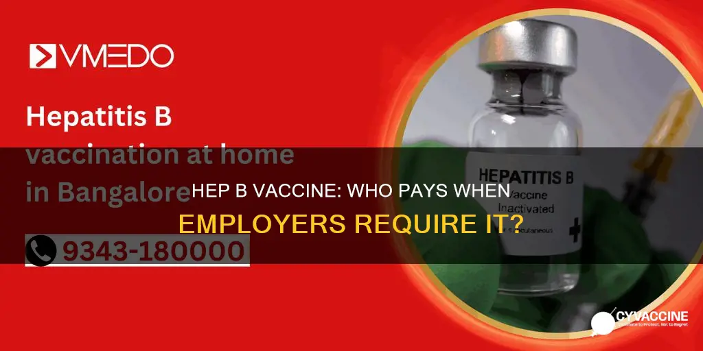 do employers have to pay for hepatitis b vaccine