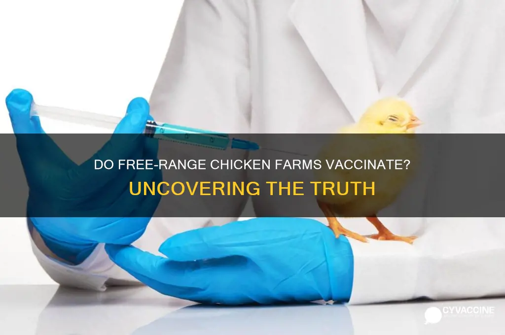 do free range chicken farms vaccinate