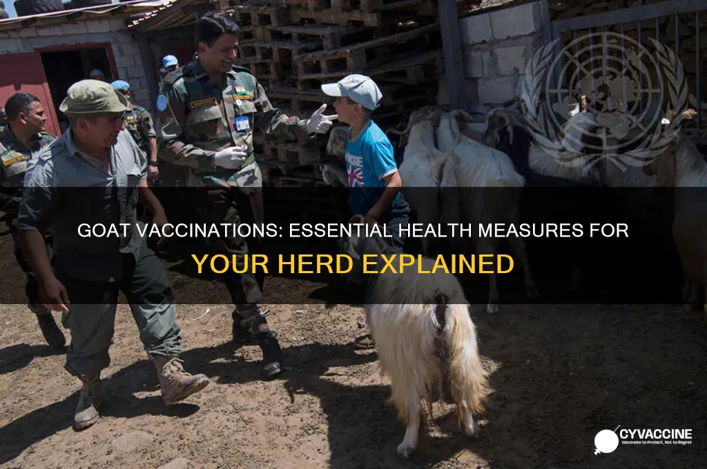 do goats have to be vaccinated