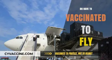 Flying Post-Pandemic: Are Vaccinations Required for Air Travel?