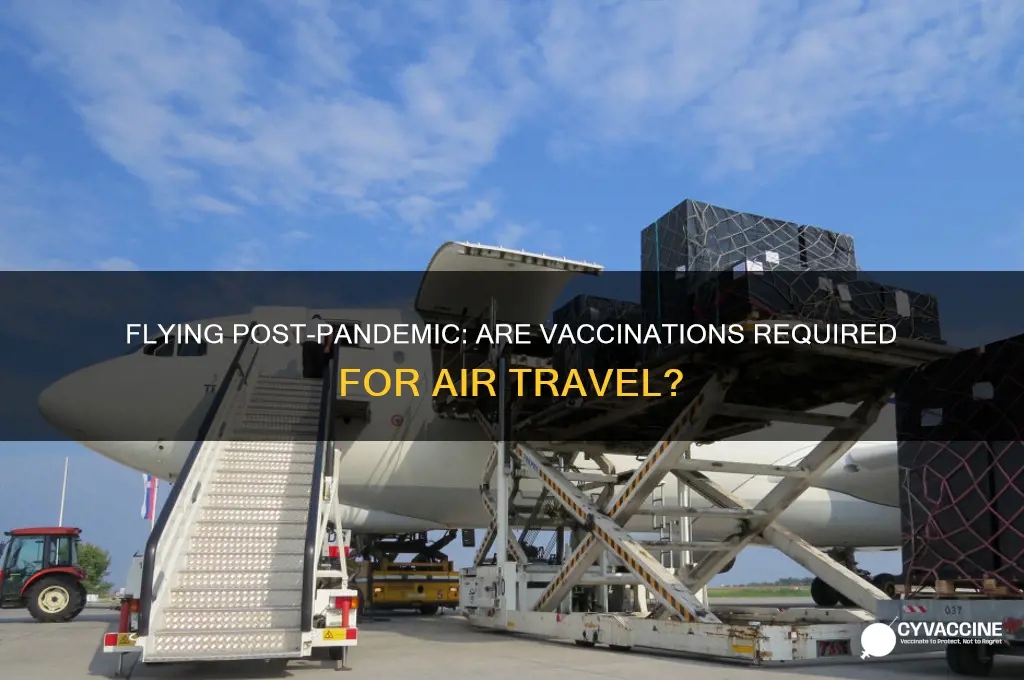 do have to vaccinated to fly