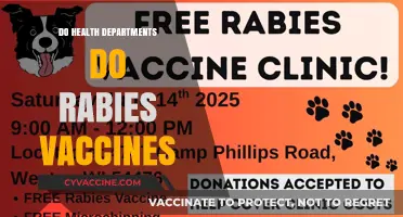 Health Departments and Rabies Vaccines: What You Need to Know