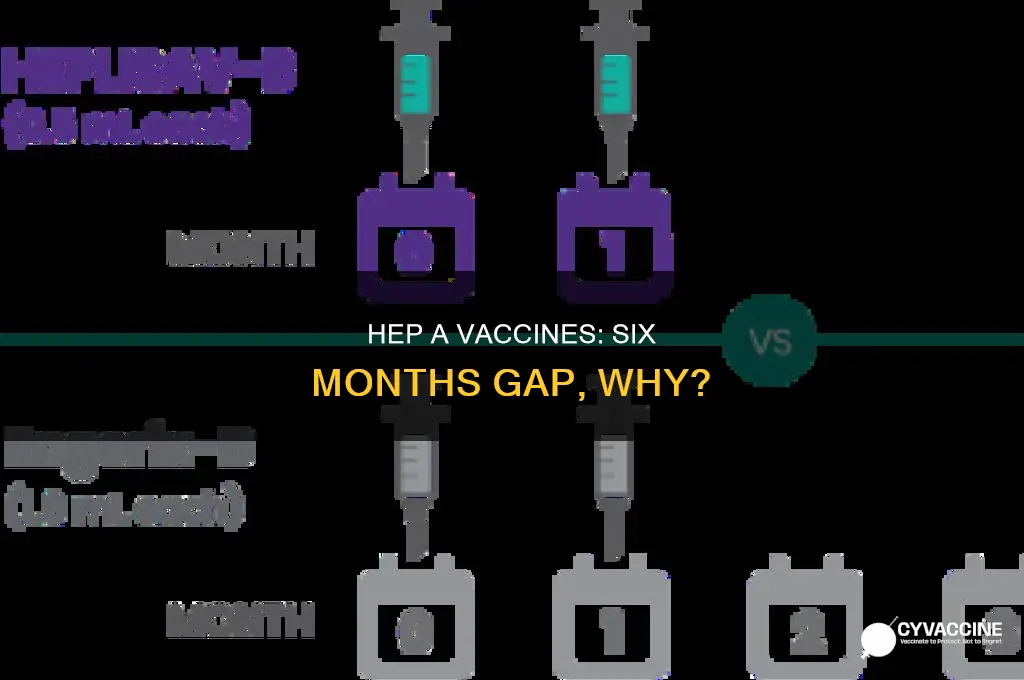do hep a vaccines have to be six months apart