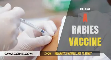 Do I Have a Rabies Vaccine? What You Need to Know