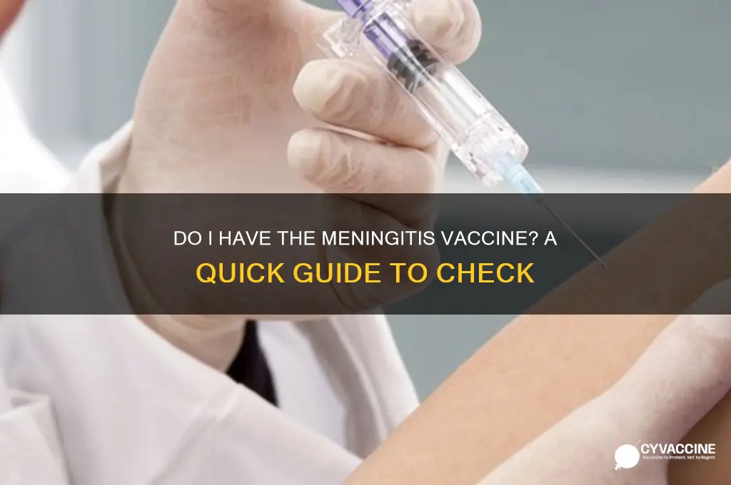 do i have the meningitis vaccine