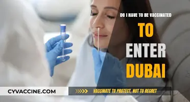 Dubai Travel: Vaccination Requirements and Entry Protocols