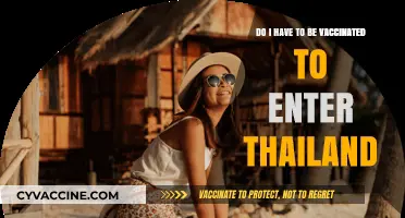 Thailand Entry: Vaccination Requirements and Rules