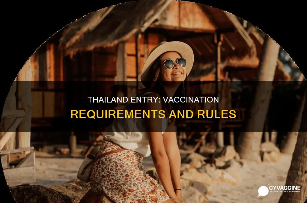 do i have to be vaccinated to enter thailand