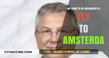 Vaccination Requirements for Air Travel to Amsterdam