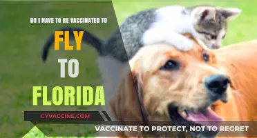 Vaccination Requirements for Flying to Florida: What You Need to Know