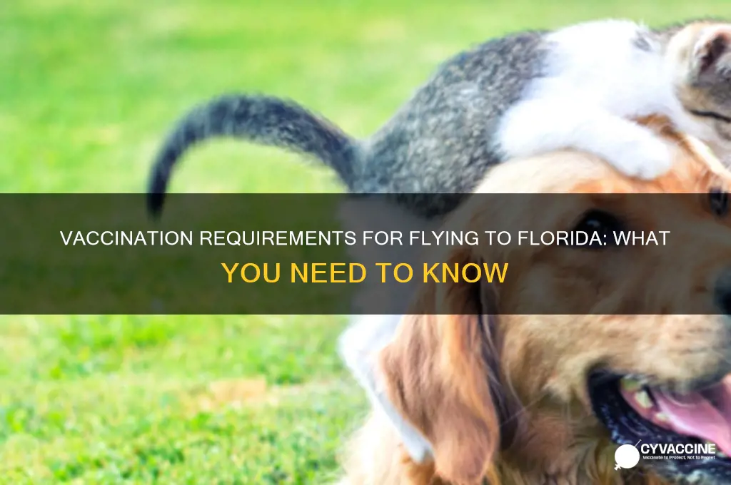 do i have to be vaccinated to fly to florida