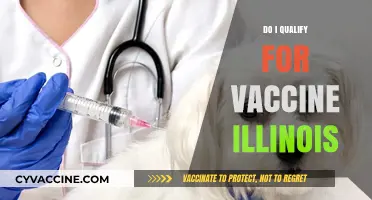 Illinois Vaccine Eligibility: Do You Qualify for COVID-19 Vaccination?