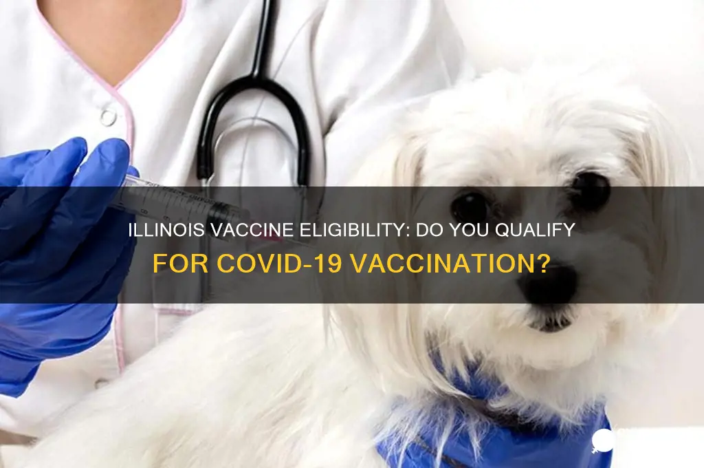 do i qualify for vaccine illinois