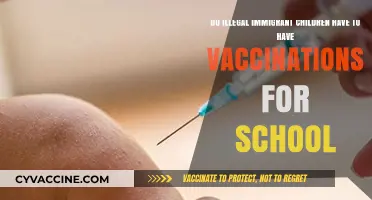 Immigrant Children: Vaccinations Needed for School?