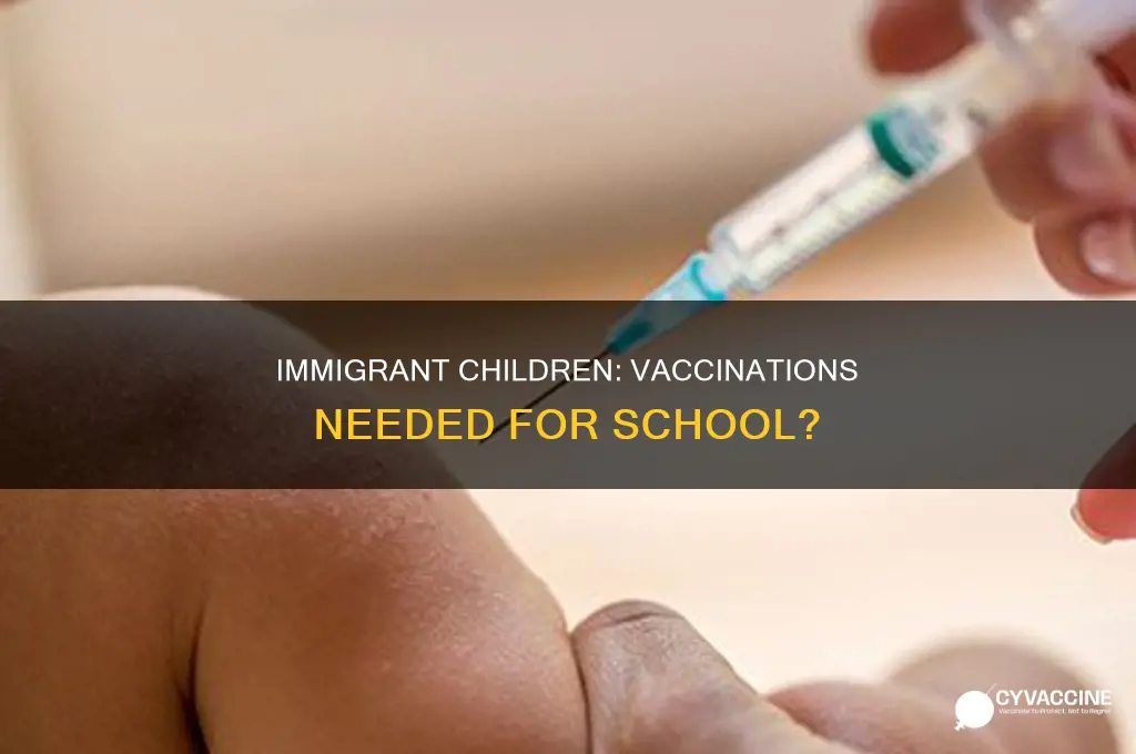do illegal immigrant children have to have vaccinations for school