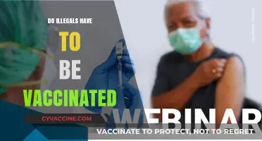 Do Undocumented Immigrants Need Vaccinations? Legal and Health Perspectives