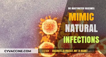 Do Inactivated Vaccines Effectively Mimic Natural Infections? A Scientific Analysis