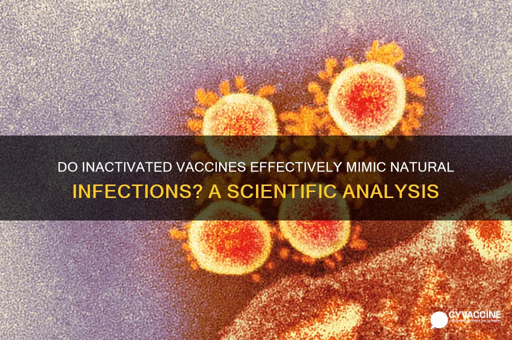 do inactivated vaccines mimic natural infections