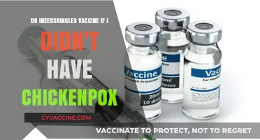 Shingles and Chickenpox: Is the Vaccine Necessary?