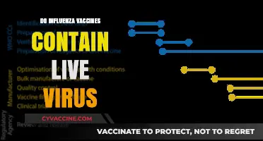 Do Influenza Vaccines Contain Live Virus? Unraveling the Truth