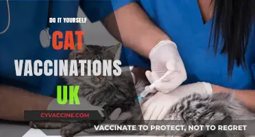 DIY Cat Vaccinations in the UK: A Step-by-Step Guide