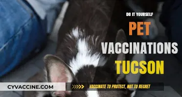 DIY Pet Vaccinations in Tucson: Safe, Affordable, and Easy Guide
