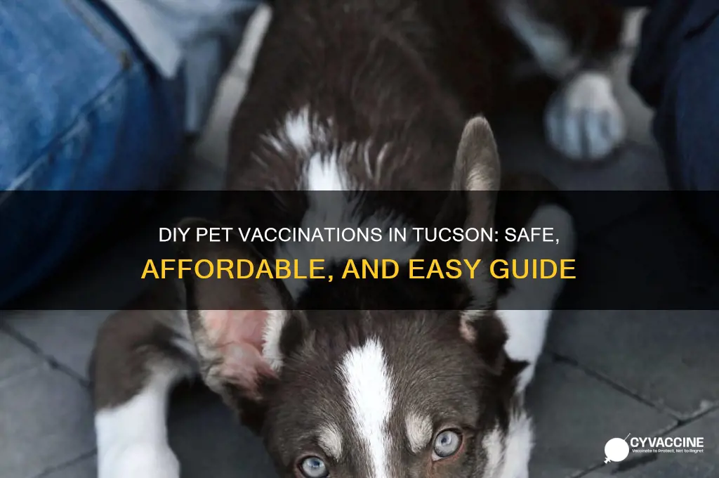 do it yourself pet vaccinations tucson