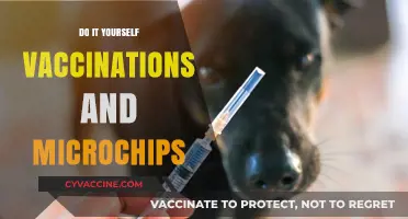 DIY Pet Care: Vaccinations and Microchipping at Home Guide