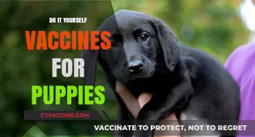 DIY Puppy Vaccines: Safe, Effective, and Cost-Saving Tips for Owners