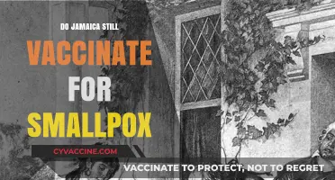 Jamaica's Smallpox Vaccination Status: Current Practices and Public Health Insights
