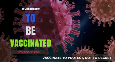 Vaccination Requirements for Jurors: Legal, Ethical, and Practical Considerations