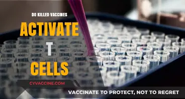 Do Killed Vaccines Activate T Cells? Exploring Immune Response Mechanisms