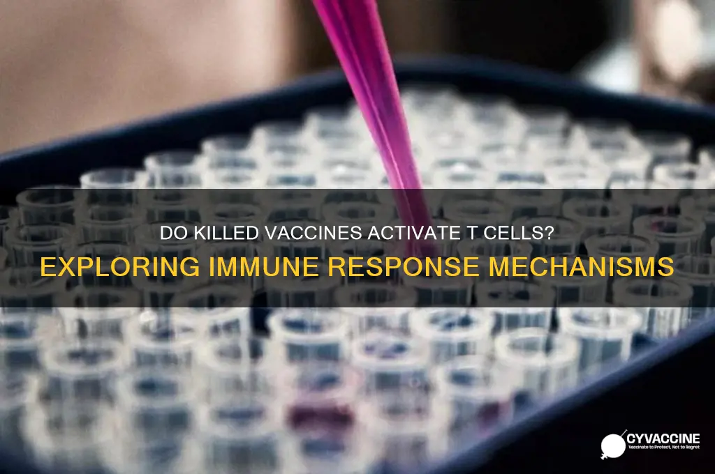 do killed vaccines activate t cells